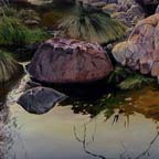 Creek, Superstition Mountains (Music Canyon Spring)