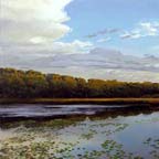 Davis Pond III
