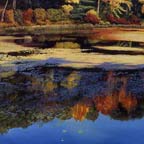 Walden Pond